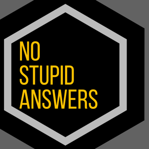 No Stupid Answers