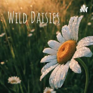 Wild Daisies