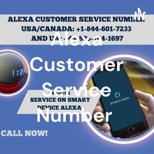 Alexa Customer Service Number