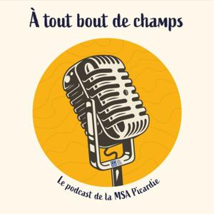 À tout bout de champs