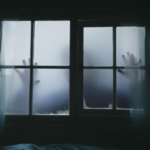 El Gato de Lovecraft