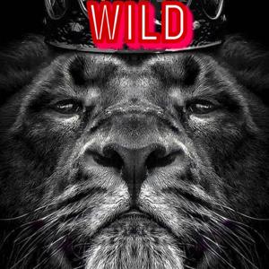 Wild Wordz