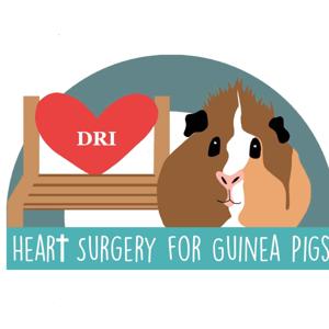 Heart Surgery for Guinea Pigs