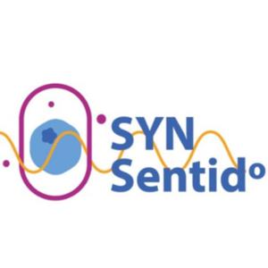Syn Sentido