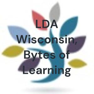 LDA Wisconsin, Bytes of Learning
