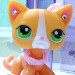Sounds From LPS Popular