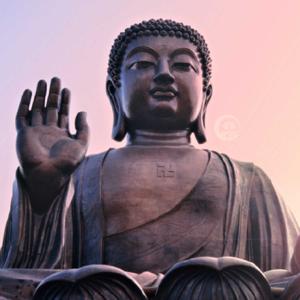 Tâm Thoại - Phật Pháp Vi Diệu
