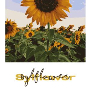 Modo avión by Sylflower