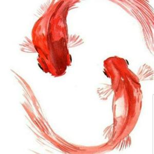 Rehabilitación Abilite
