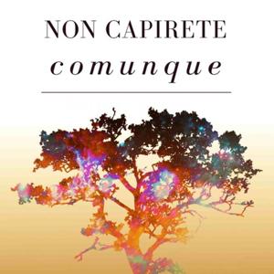 Non Capirete Comunque