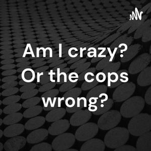 Am I crazy? Or the cops wrong?