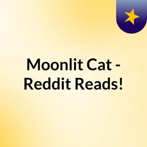 Moonlit Cat - Reddit Reads!