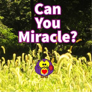 Can You Miracle?