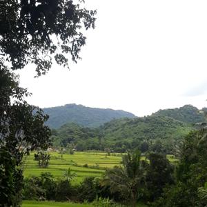 Podman