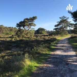 Loopgroep 03 podcast