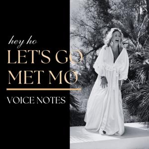 hey ho LET'S GO MET MO - voice notes