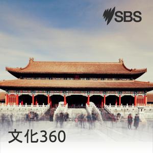 文化360