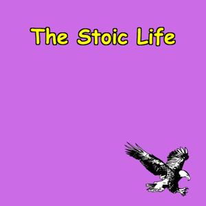 The Stoic Life | How to Build Calm Confidence