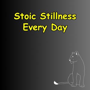 Stillness Every Day | Simple Stoic Rituals for Calm