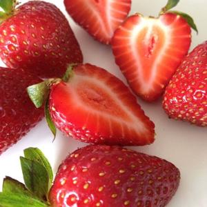 Fueling our bodies right