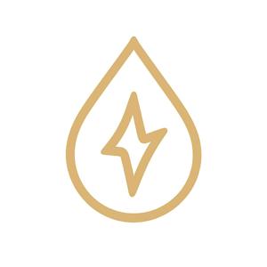 The Wealth Trailblazer aka the Initiatrix