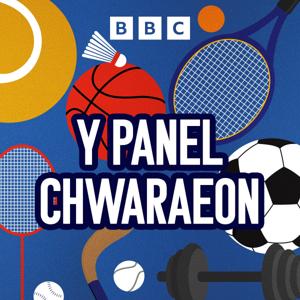 Y Panel Chwaraeon