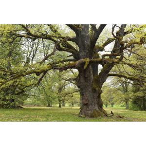 Demokratie-Infotheke