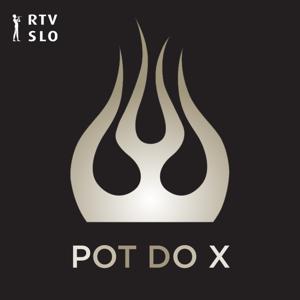 Pot do X - Siddharta