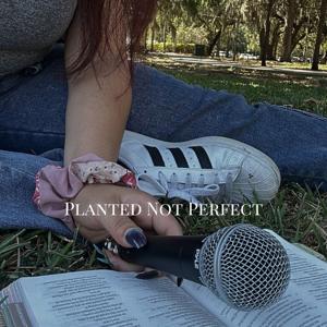 Planted Not Perfect