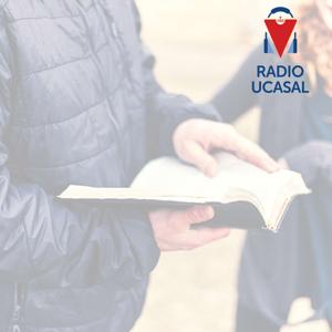 La reflexión dominical