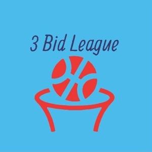 3 Bid League by Matt & Tyler