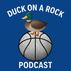 Duck on a Rock