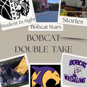 Bobcat Double Take