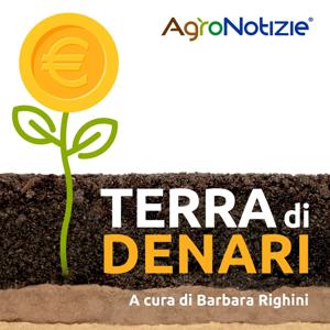 Terra di Denari