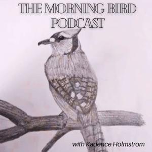 The Morning Bird Podcast