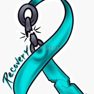 The Recovery One Sock Bandits