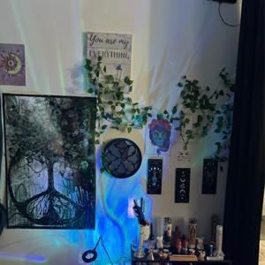 Healing after a toxic family dynamic