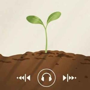 MỖI NGÀY 1 TỐT HƠN - LISTEN TO GROW