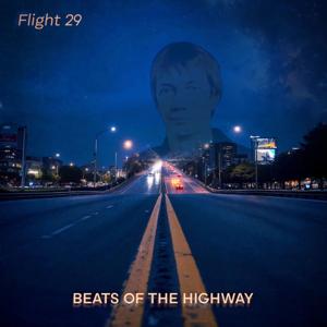 Flight 29