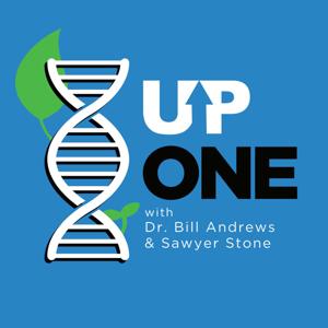 Up One