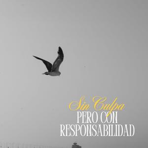 Sin culpa, pero con Responsabilidad