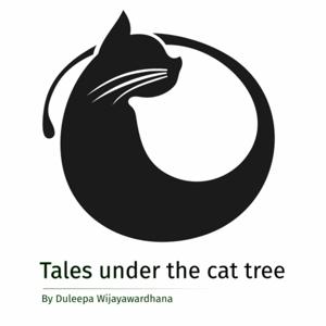 Tales under the cat tree