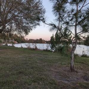 Hitchhiker's Guide to South Florida and Beyond