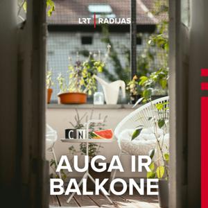 Auga ir balkone