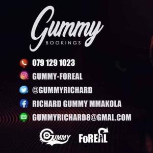 For The Groove Series Mixed by Dj Gummy