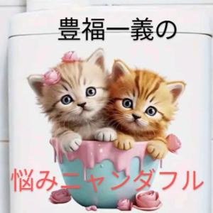 豊福一義の悩みニャンダフル