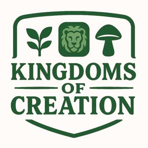 Kingdoms of Creation