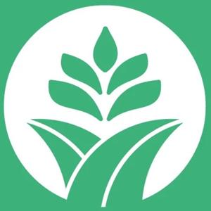 कमरे में केसर की खेती से लाखों की कमाई