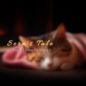Sora's Tale: First Glimmer