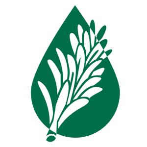Benefits of Rosemary Oil